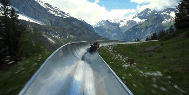 racing down a stunning alpine coaster reminds me to never medium