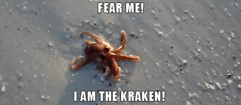 fear me i am the kraken cute cuteanimals funny pinterest medium