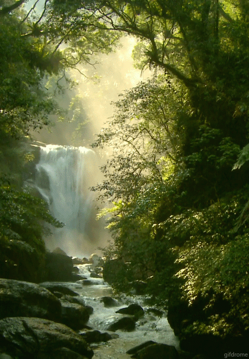 beautiful waterfall gif beautiful scenic nature waterfall trees medium