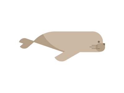 seal swim animation by brooke condolora dribbble medium