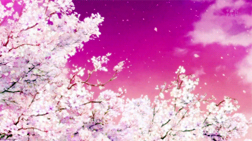 k c c nh hoa h ng xanh nh phong c nh ng sakura flower medium