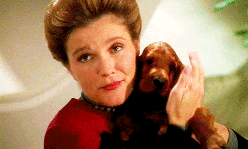 kathryn janeway gifs find share on giphy medium