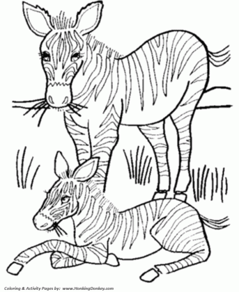 baby zebra drawing at getdrawings com free for personal use baby medium