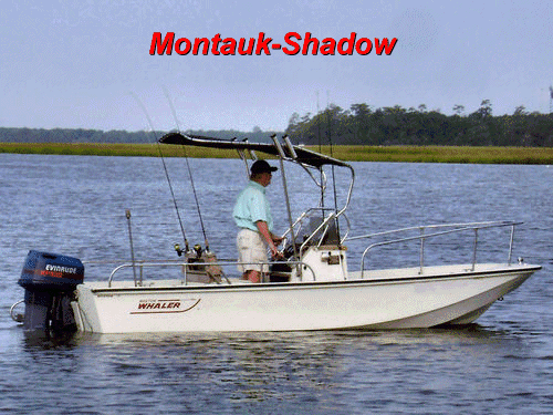 montauk shadow from rnr marine com medium