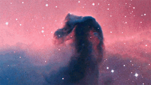 horse head nebula on tumblr medium