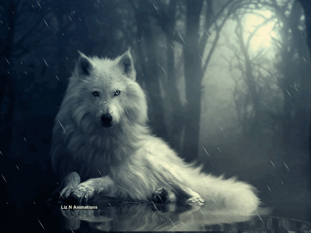 pin by krisztina sallai on my art and animations wolf medium