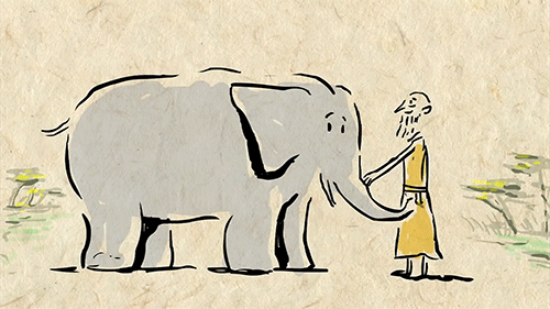 12 amazing facts about elephants gif elephants world medium