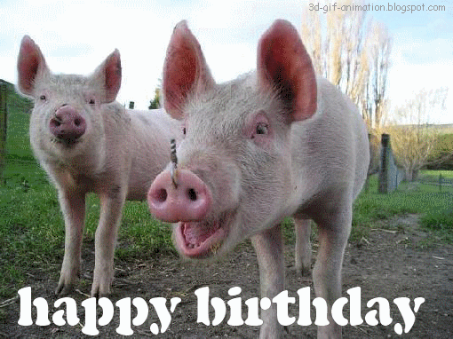 animated free gif happy birthday pig greeting ecard funny happy medium