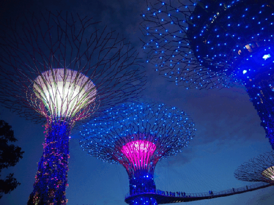 13 best things to do in singapore miss tourist travel blog medium