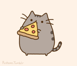 pizza cat food gif on gifer by mesar medium