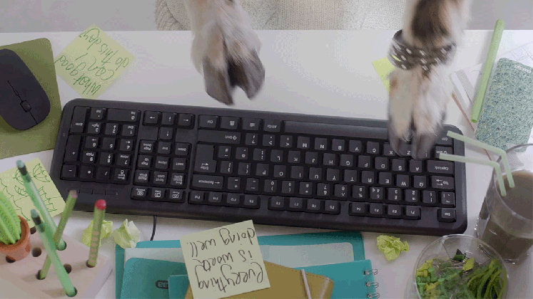 animals goat typing gif on gifer by samukora medium