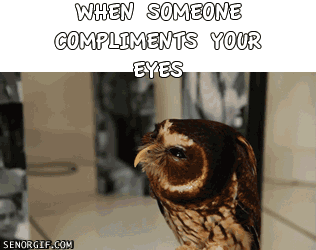 when someone compliments your eyes se or gif funny gifs medium