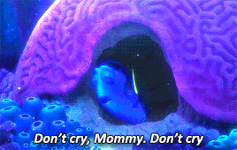 finding nemo no gif find share on giphy medium
