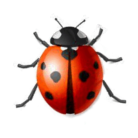 ladybugs images ladybug animated photo 40381278 medium