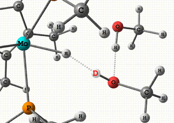 hydrogen deuterium exchange in hydride chemistry dihydrogen bonded medium