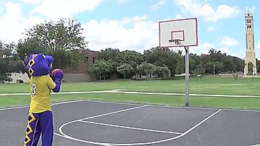 basketball fail gif by st mary s university find share on giphy medium