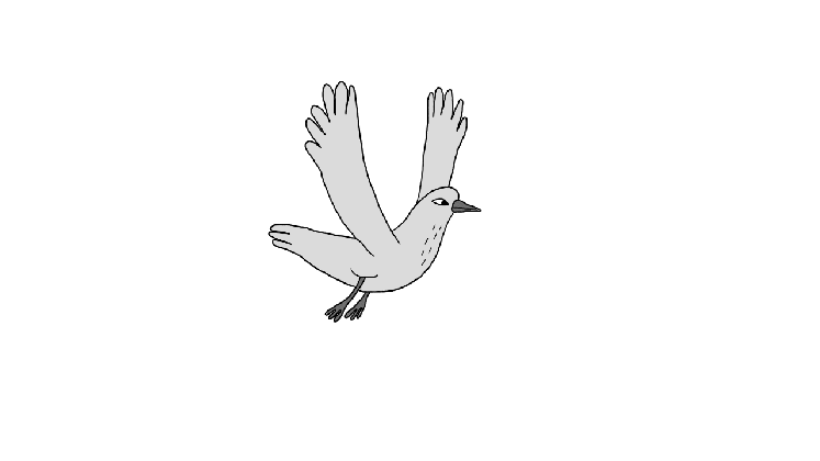 gif oiseau pajaro animation animated on gifer bird medium