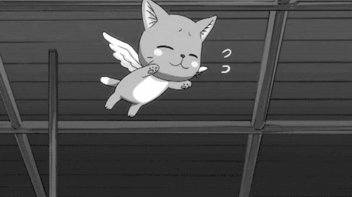 happy the exceed fairy tail gif find share on giphy medium