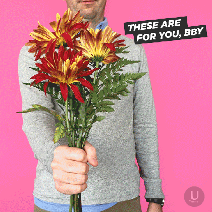 i got you flowers gifs get the best gif on giphy medium