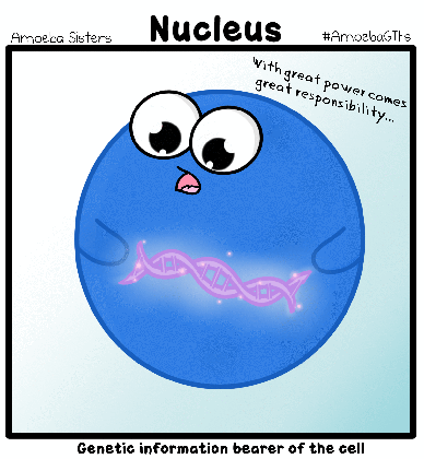 nucleus jokes funny school medium
