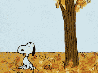 snoopy gif tumblr snoopy pinterest snoopy charlie brown and small