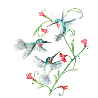 designing the hummingbird trio card quilling religious moving background