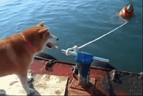these 21 fail gifs are enough funny to make you smile small