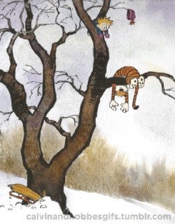 calvin and hobbes come alive in animated gifs small