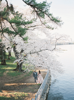 https://cdn.lowgif.com/small/06bf30d363b109ee-this-bride-s-floral-dress-was-perfect-for-a-cherry-blossom-wedding.gif