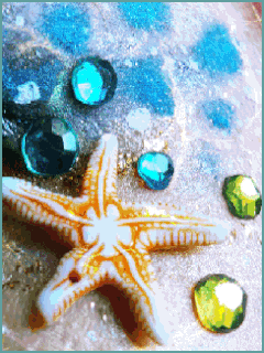 starfish gif 1286455 pinterest small