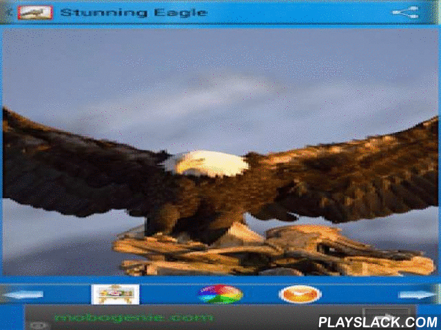 stunning eagles android app playslack com these are stunning small
