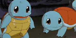 pokemon feels gif find share on giphy small