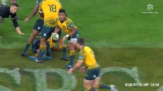 https://cdn.lowgif.com/small/0880a8565a861de3-rugby-gifs-get-the-best-gif-on-giphy.gif