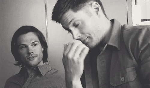 gif j2 interview oct 2013 i love how jared waits for jensen to small