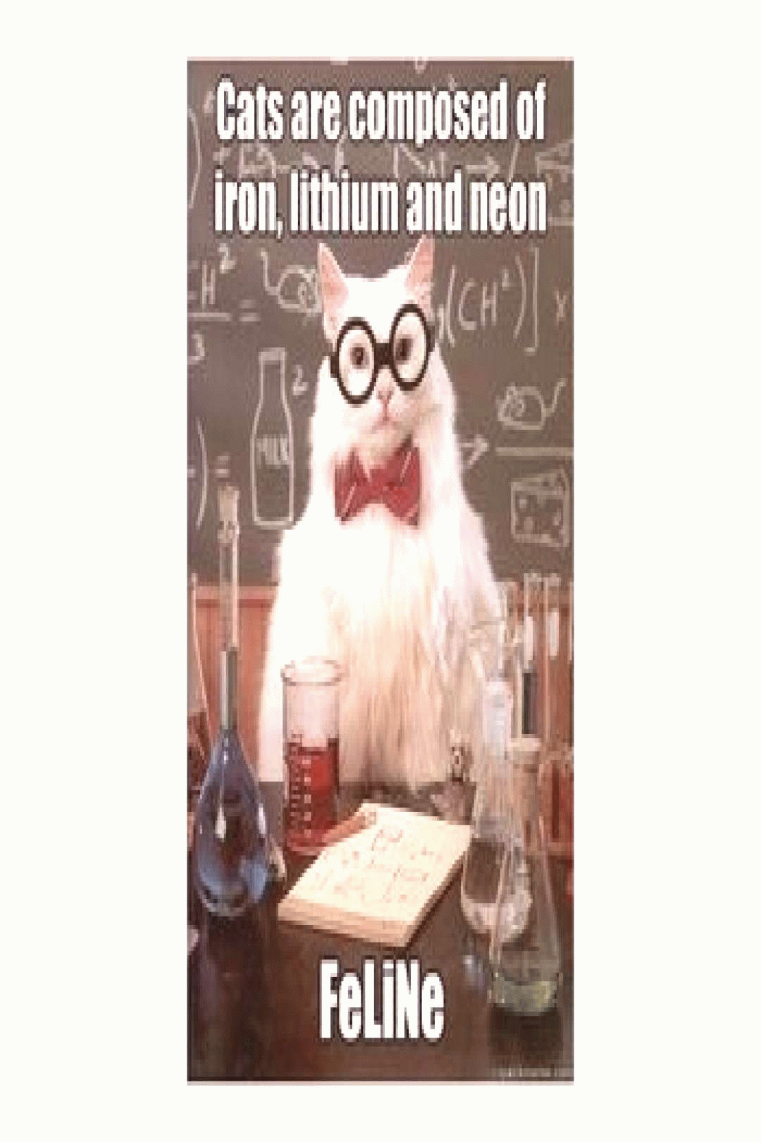chemistry cat jokes for physical science in 2020 small