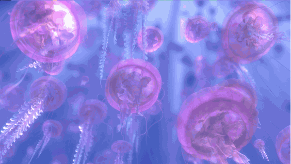 purple purple pinterest disney pixar finding nemo and gifs small
