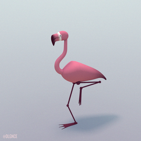 https://cdn.lowgif.com/small/0a9f13c687e8fe4f-pink-bird-c4d-friend-birds-cinema-4d-turn-nod-twist-3d-animation-3d.gif