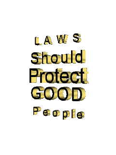 https://cdn.lowgif.com/small/0b0e52715a5a77b8-file-laws-should-protect-good-people-gif-wikimedia-commons.gif