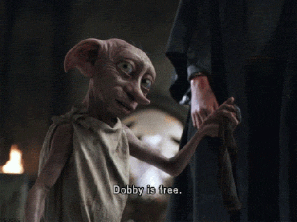 harry potter dobby gifs find share on giphy small