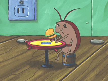 spongebob squarepants eating gifs find share on giphy small
