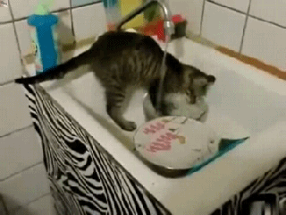 https://cdn.lowgif.com/small/117b9ceb08e84a31-don-t-worry-i-ll-get-the-dishes-cute-cat-gifs.gif