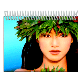 lenticular photo album hula girl winking her eye lantor ltd small