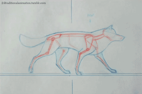 anatoref dogs animation referece row 1 2 pinterest small