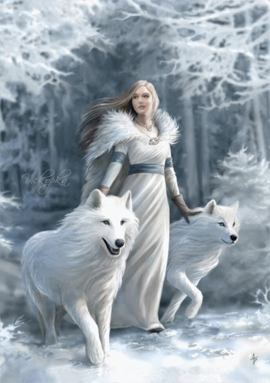 walking with white wolves dances with wolves gifs small