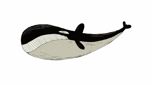 gif animation illustrator google search ballena pinterest small