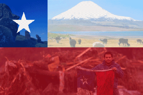 https://cdn.lowgif.com/small/14cb7d6a4b5e200f-images-chile-gif-find-share-on-giphy.gif