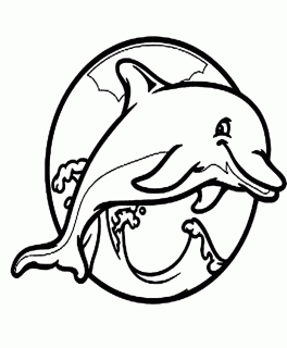 cartoon dolphin drawing at getdrawings com free for personal use small