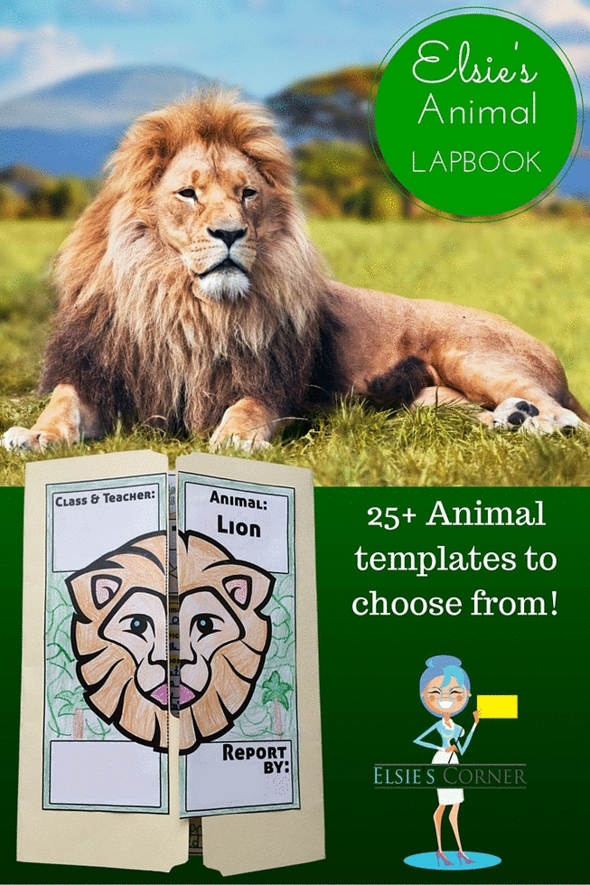 animal research lapbook animal literacy and teaching resources small