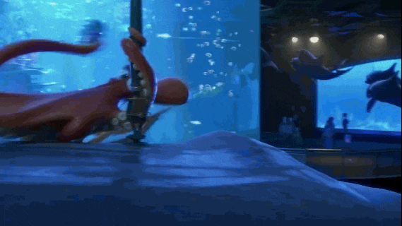 https://cdn.lowgif.com/small/1778ee3604ffaf1f-newest-finding-dory-trailer-has-strong-anti-seaworld-message.gif