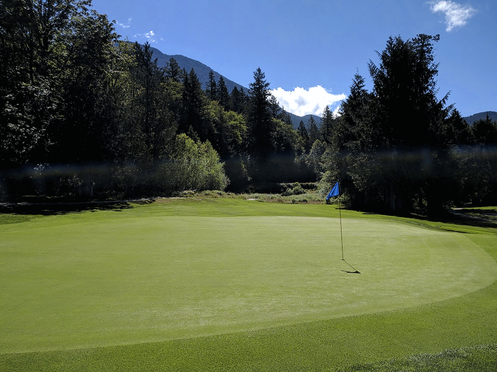 pender harbour golf club updates 2016 small